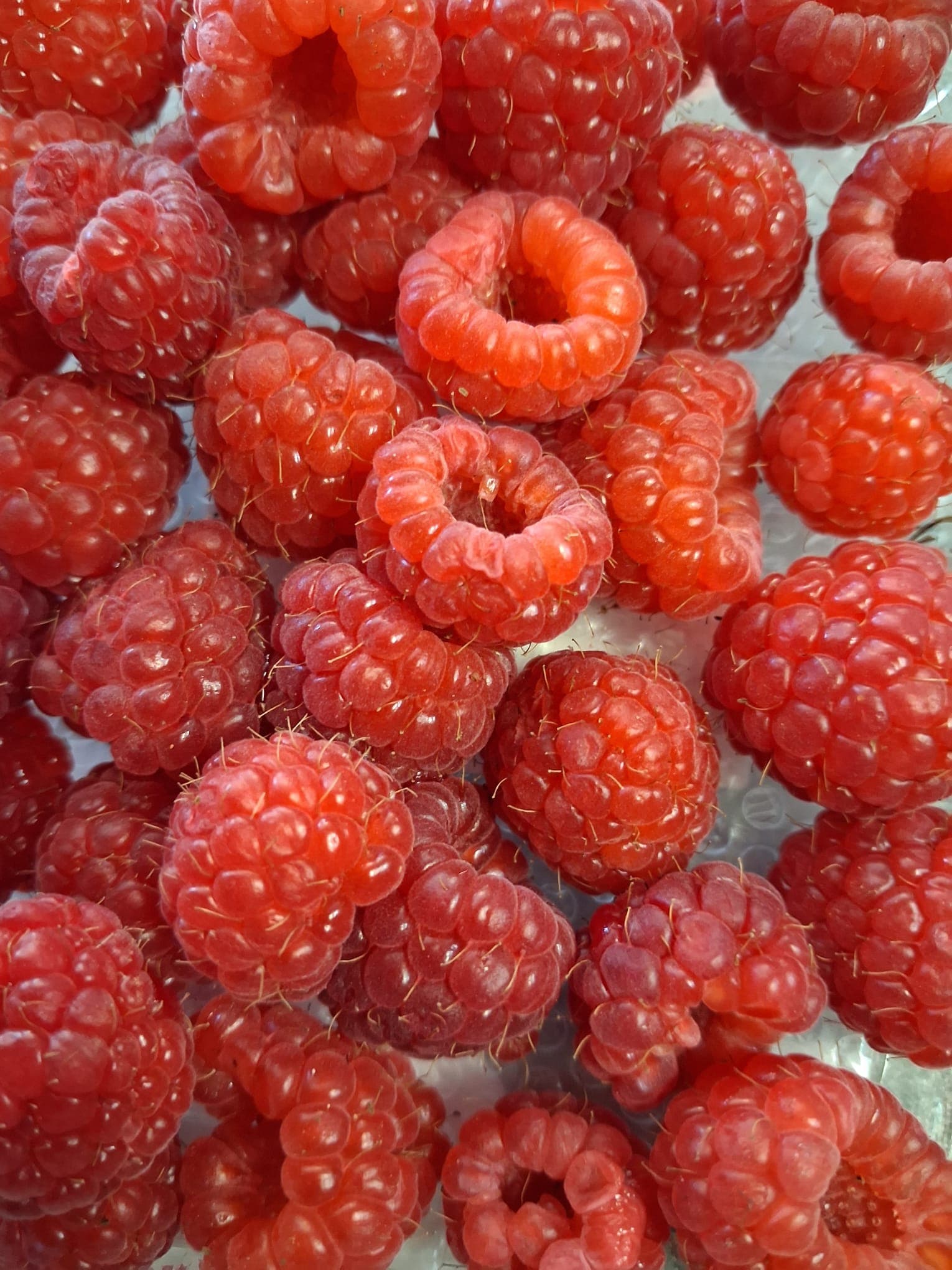 Raspberries