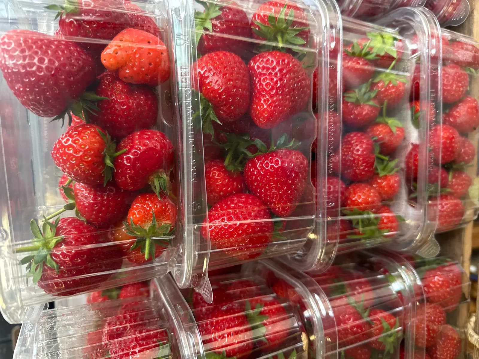 Lichfield Strawberry