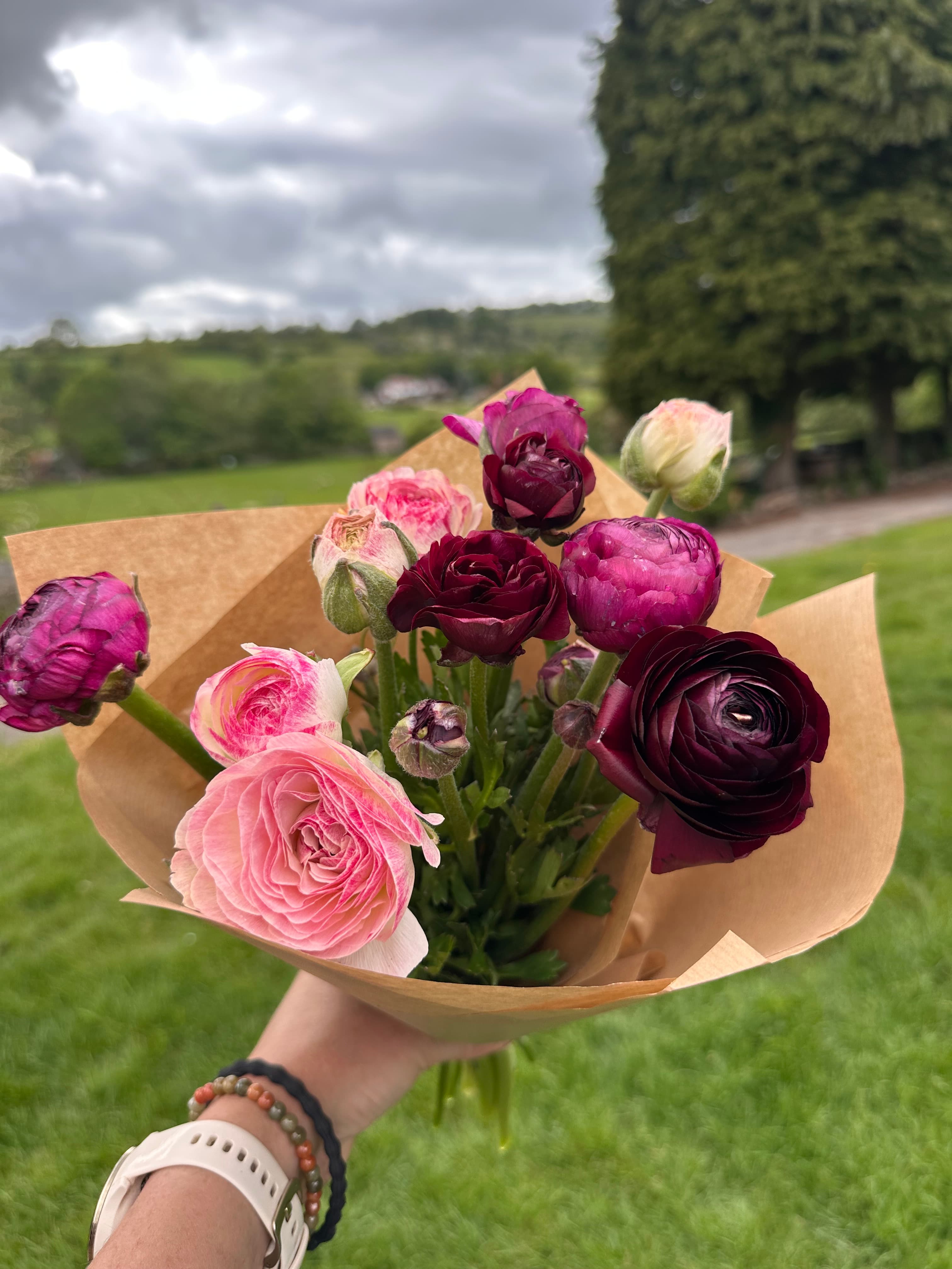 British Derbyshire Blooms