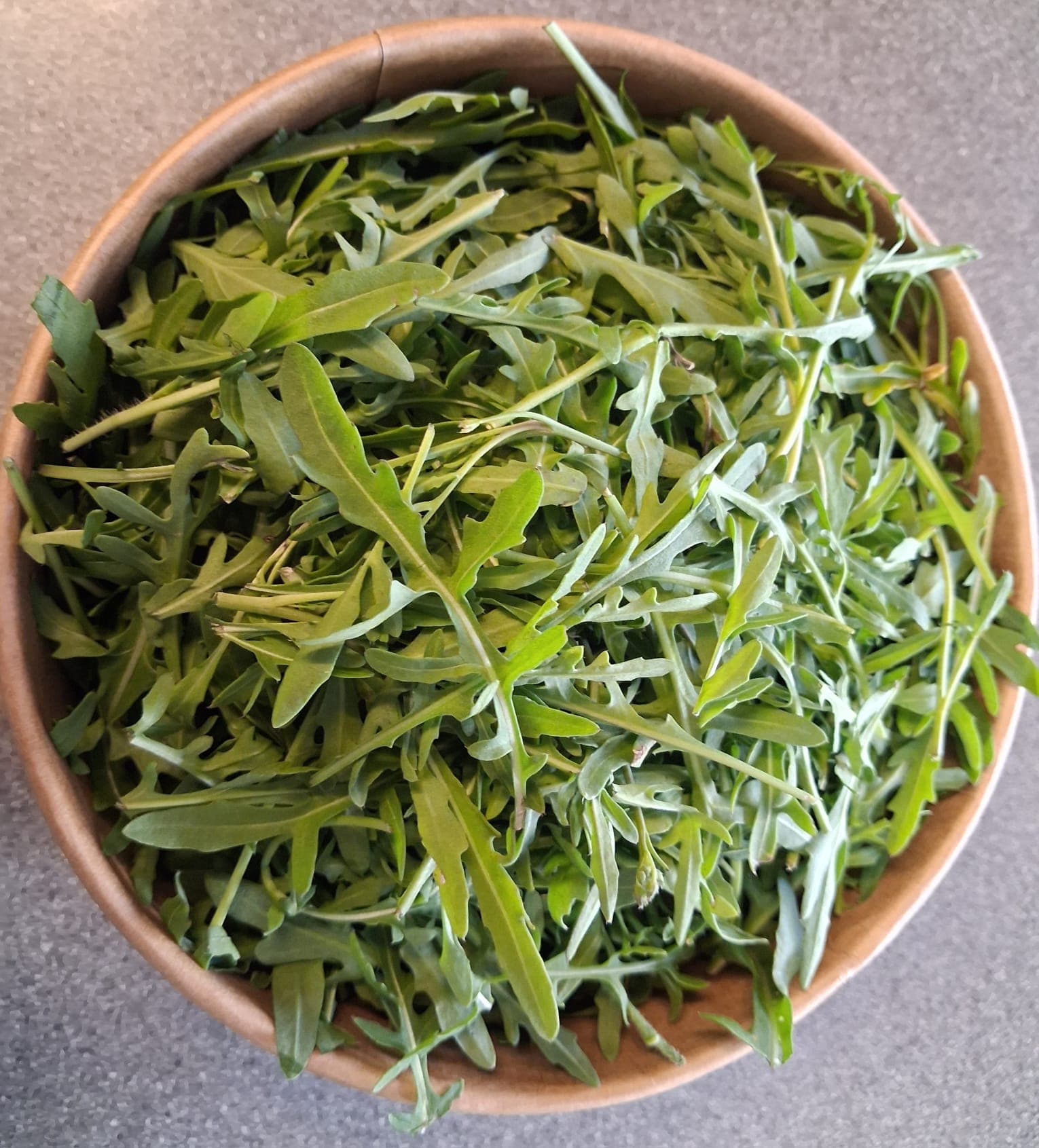 Rocket Salad