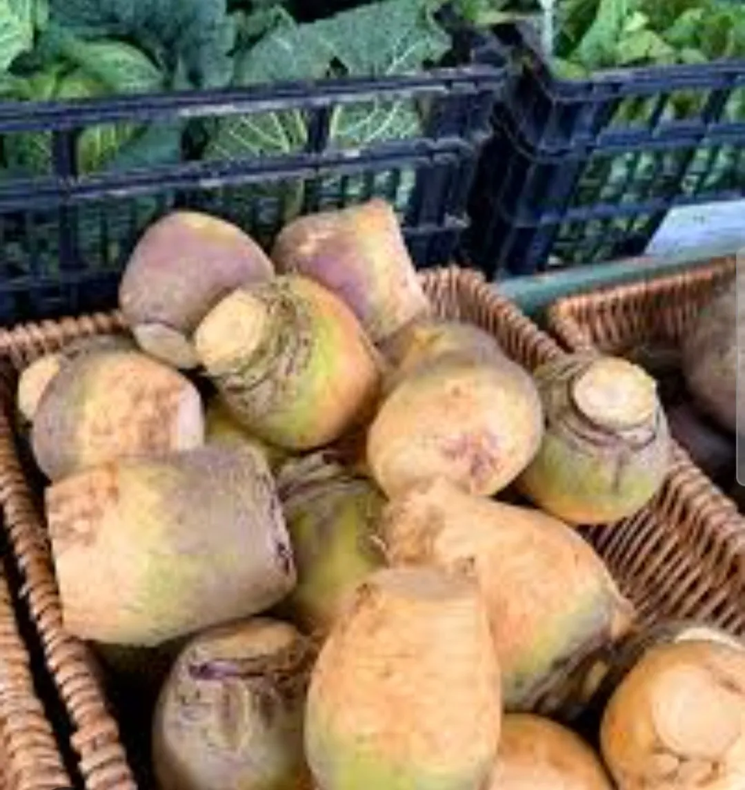 swede (Rutabaga)
