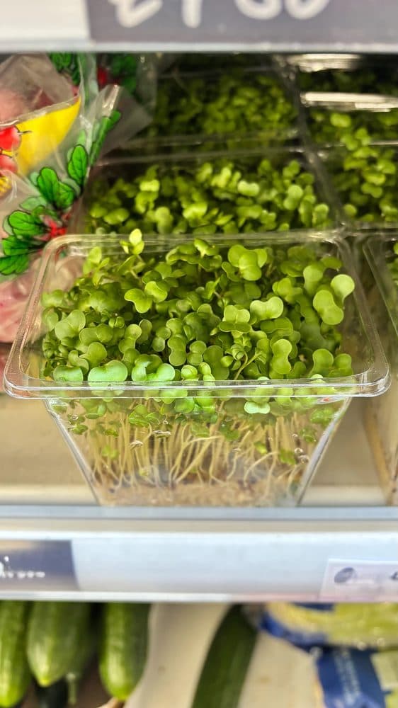 Cress